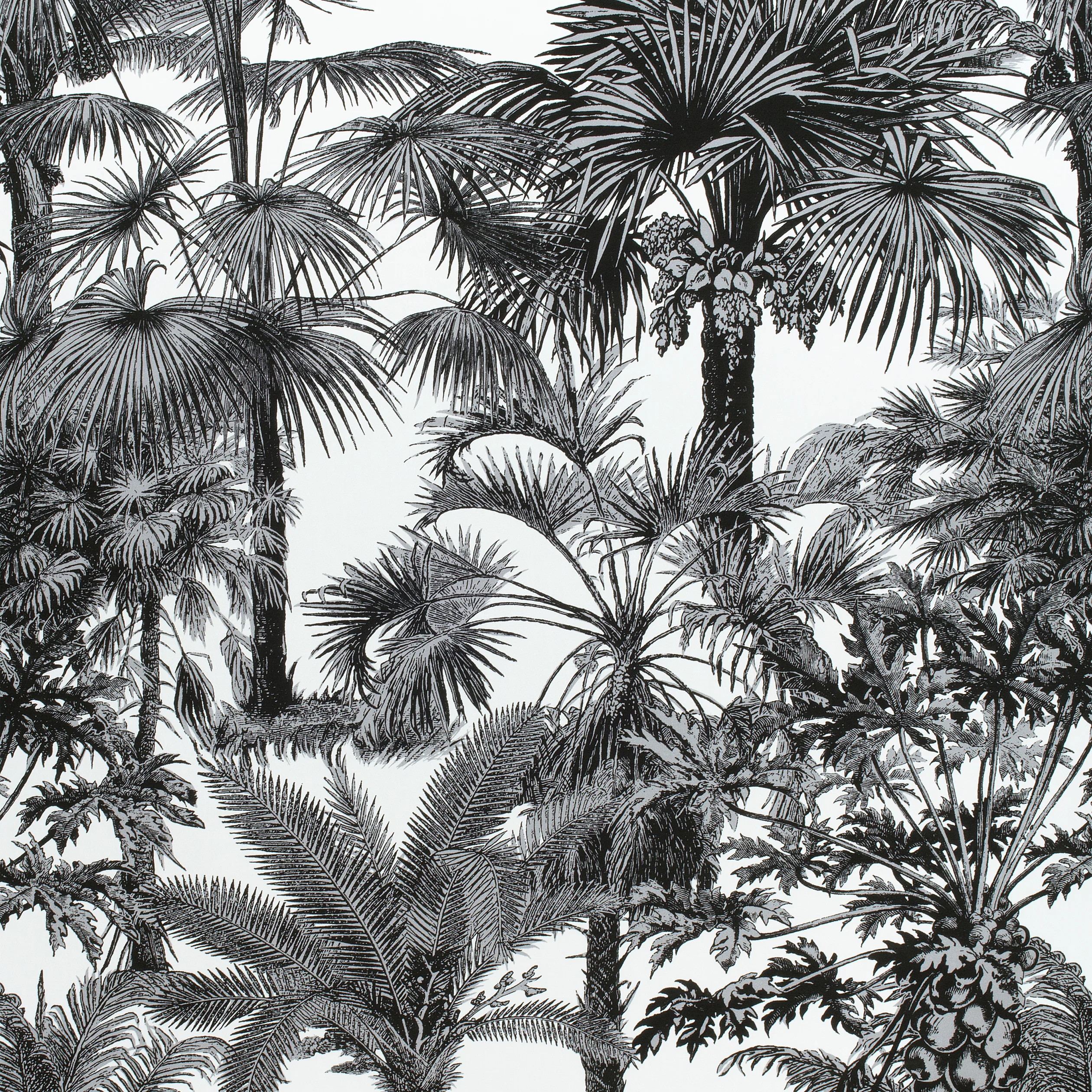 Thibaut Palm Botanical in Black (F910102)