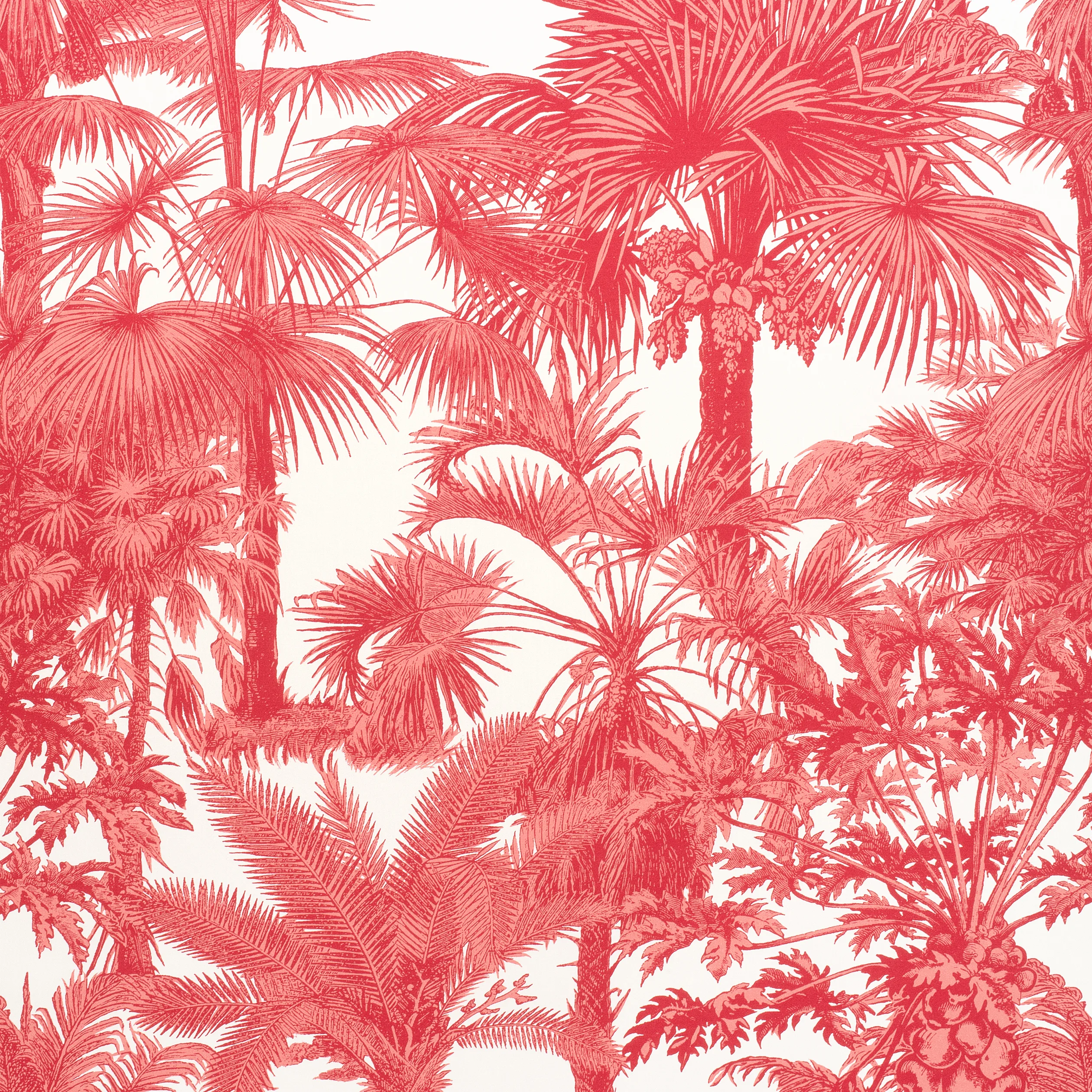 F910105 | Palm Botanical – Coral