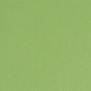 Thibaut Palmer in Kiwi (W81752)
