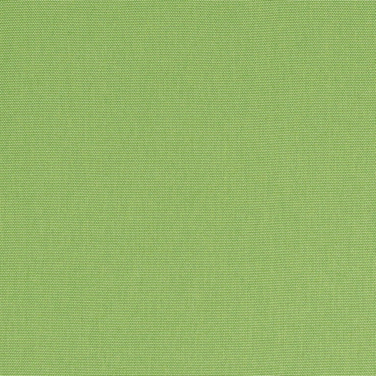 Thibaut Palmer in Kiwi (W81752)