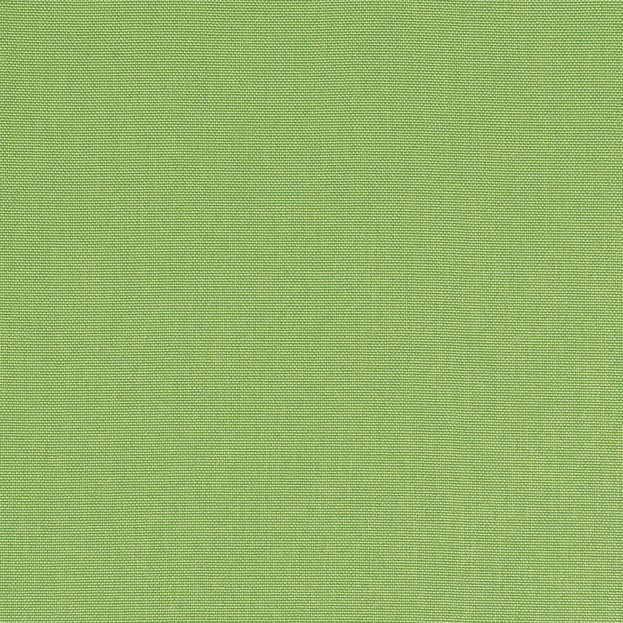 Thibaut Palmer in Kiwi (W81752)