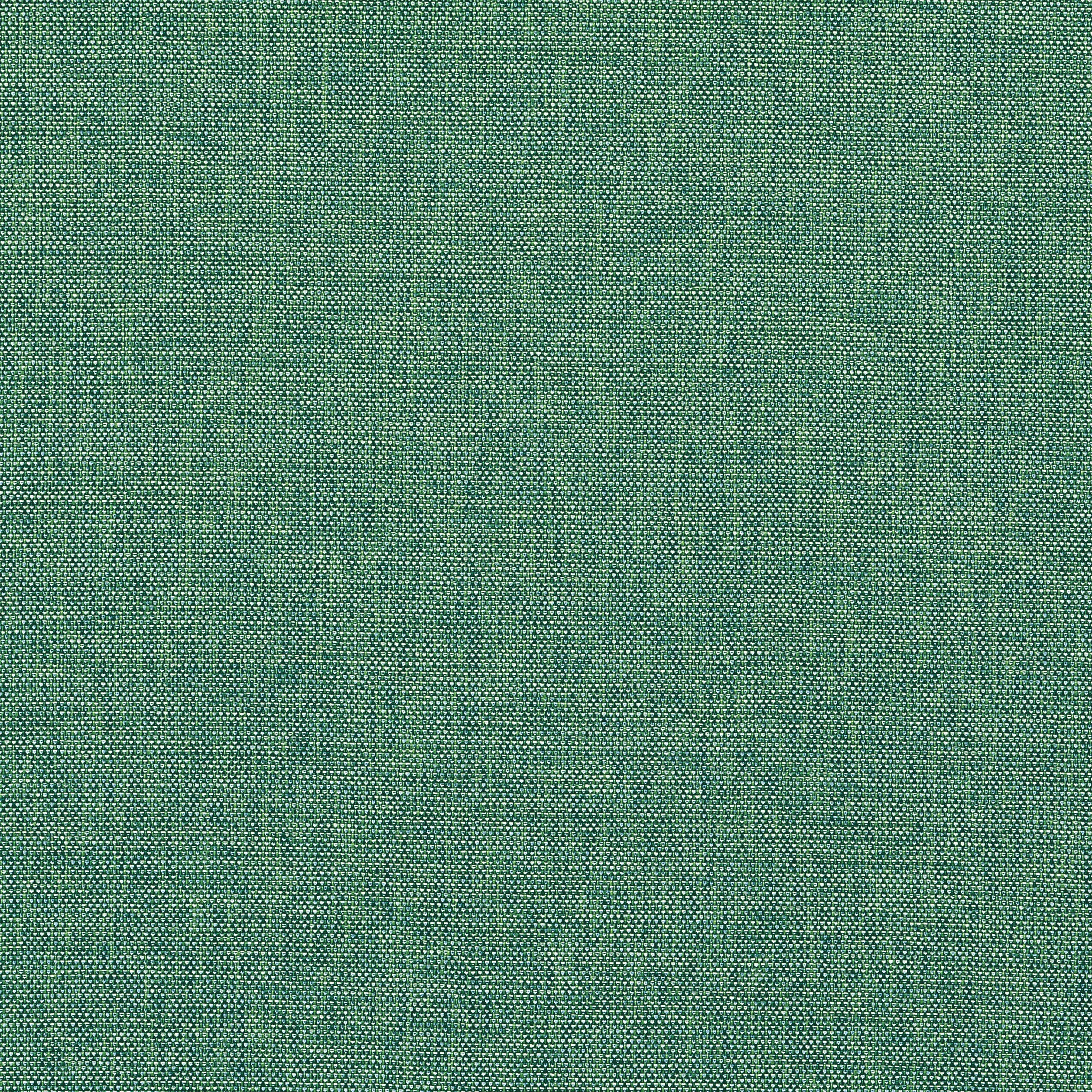 Thibaut Palmer in Pine (W81754)