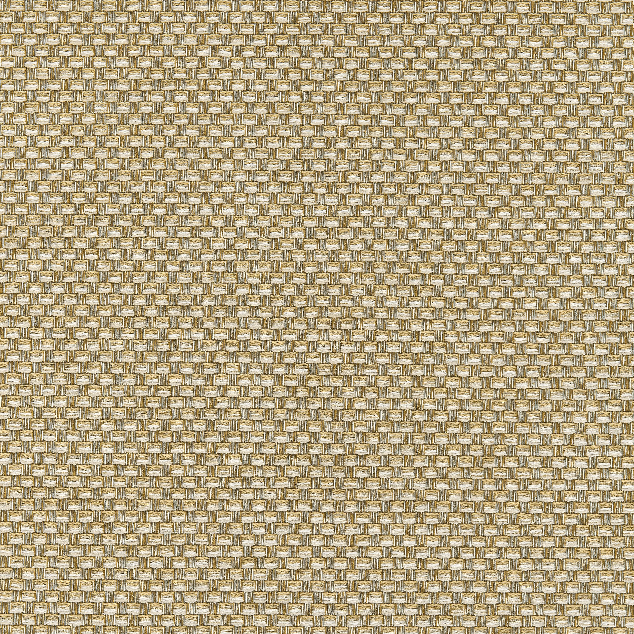 Thibaut Palmetto in Straw (W80230)