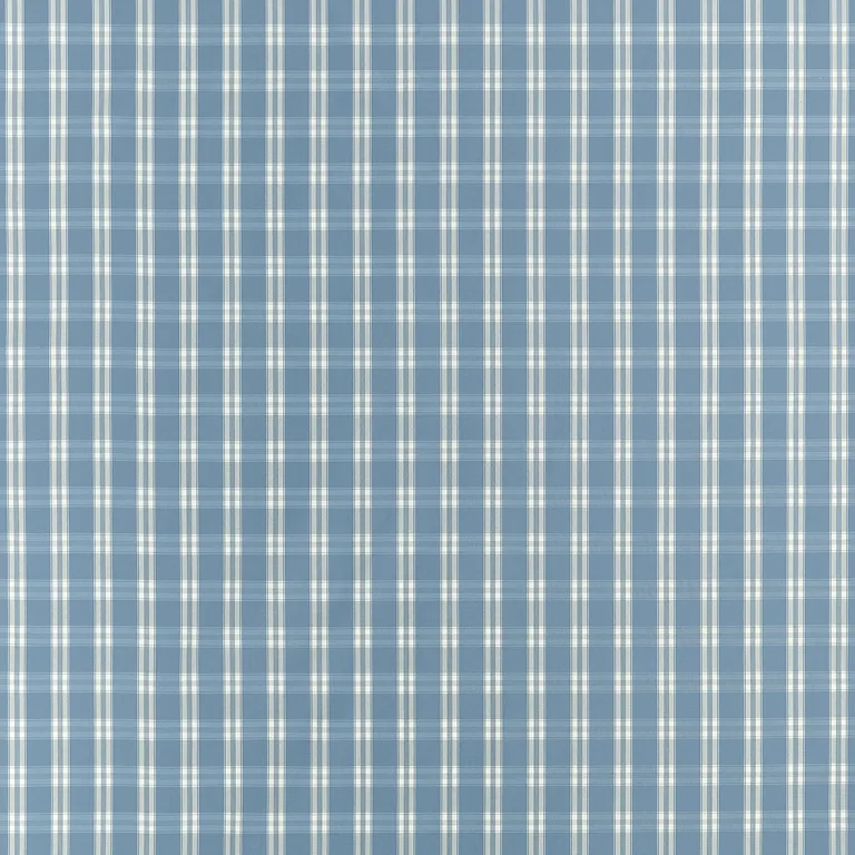 Anna French Payton Check in Blue (AW10708)