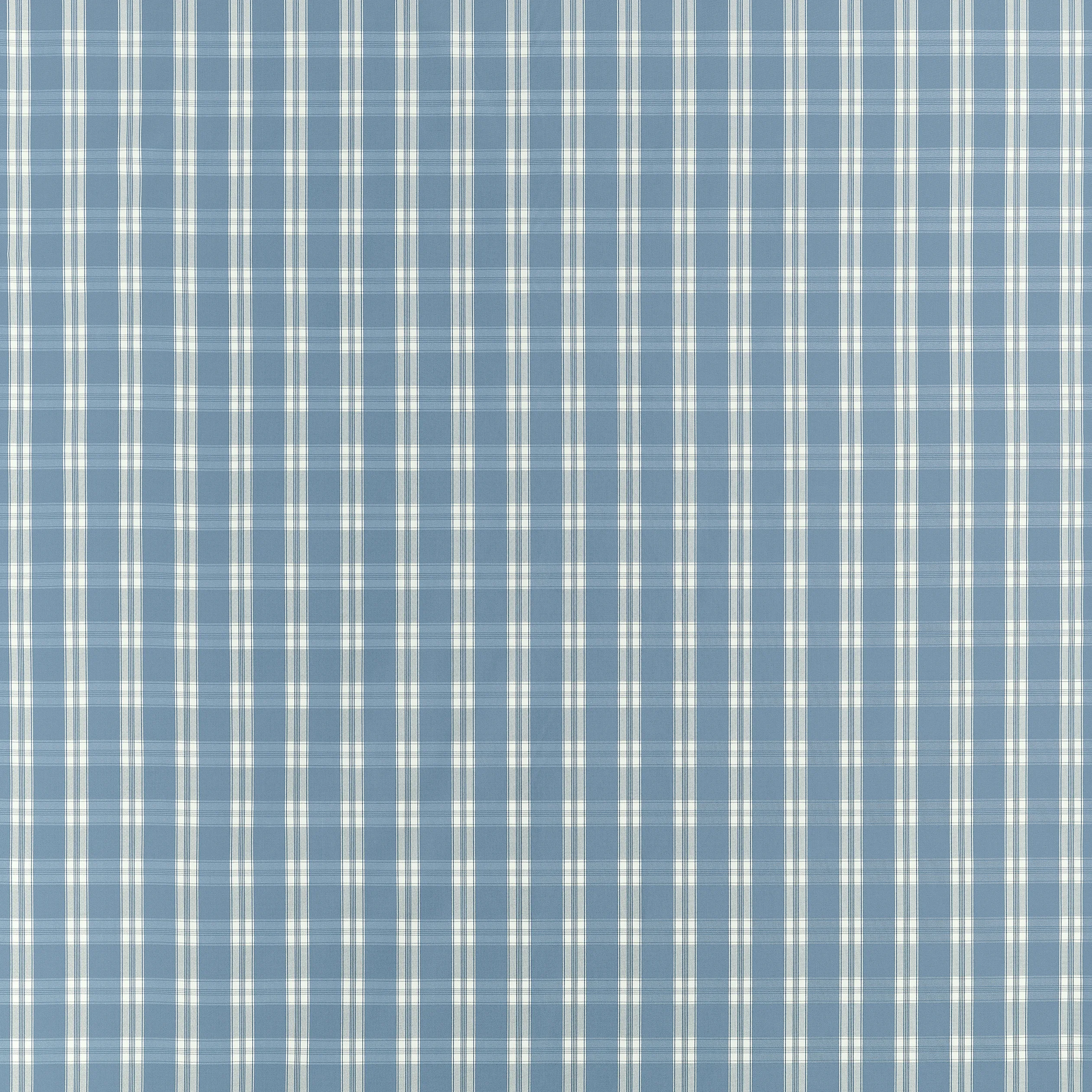 AW10708 | Payton Check – Blue