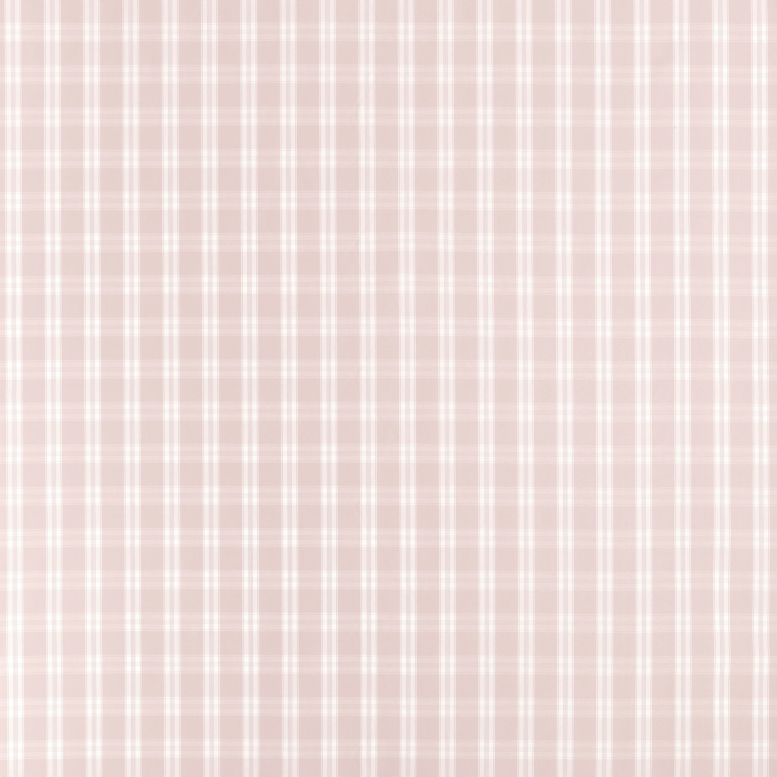 AW10707 | Payton Check – Blush