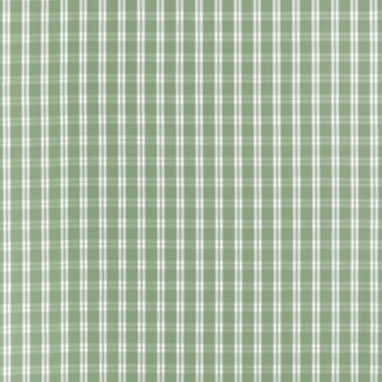 Anna French Payton Check in Green (AW10709)