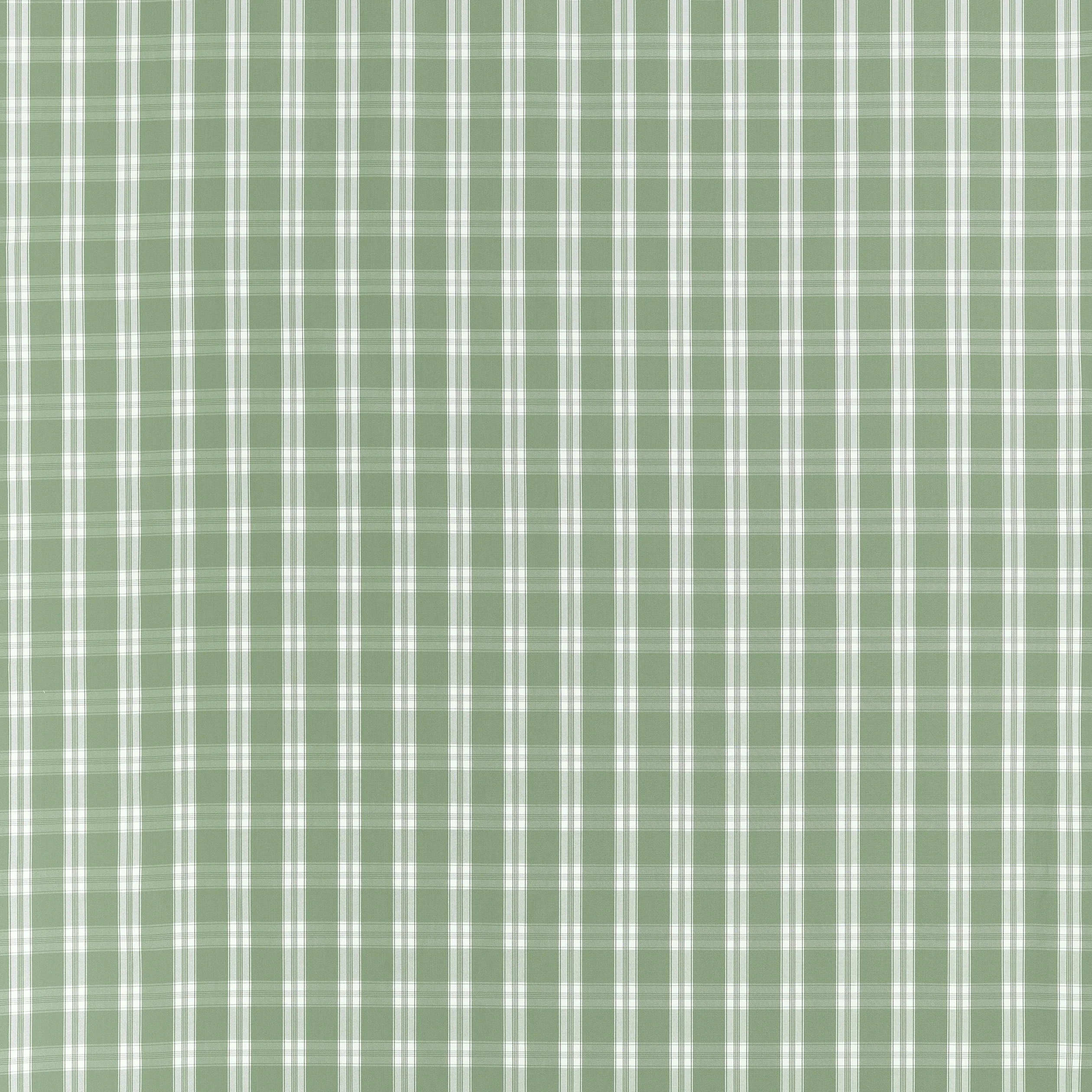 AW10709 | Payton Check – Green