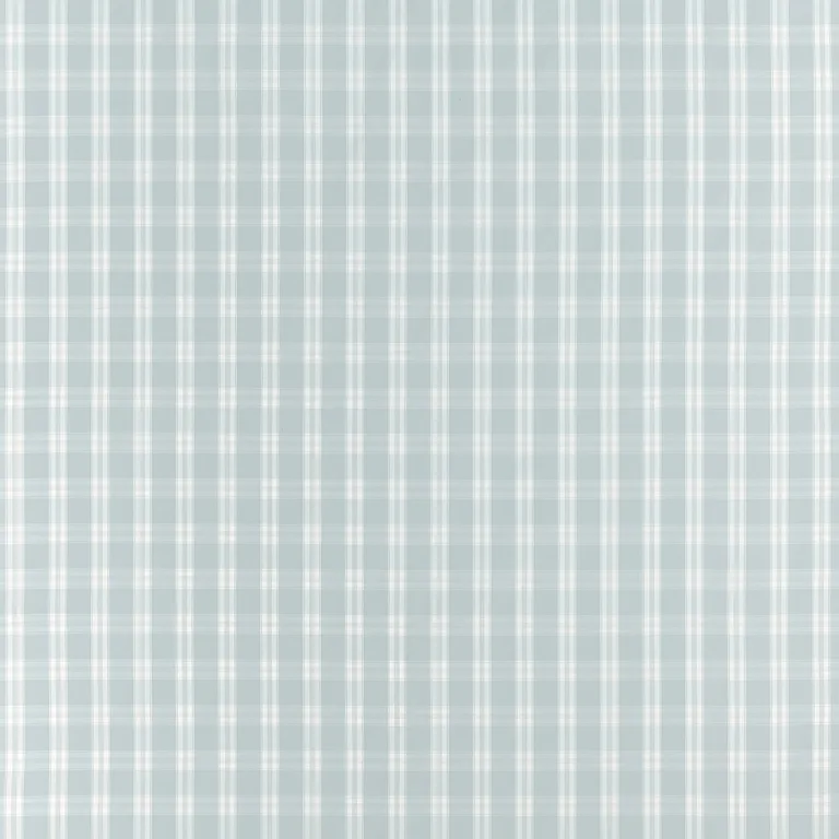 Anna French Payton Check in Spa Blue (AW10711)