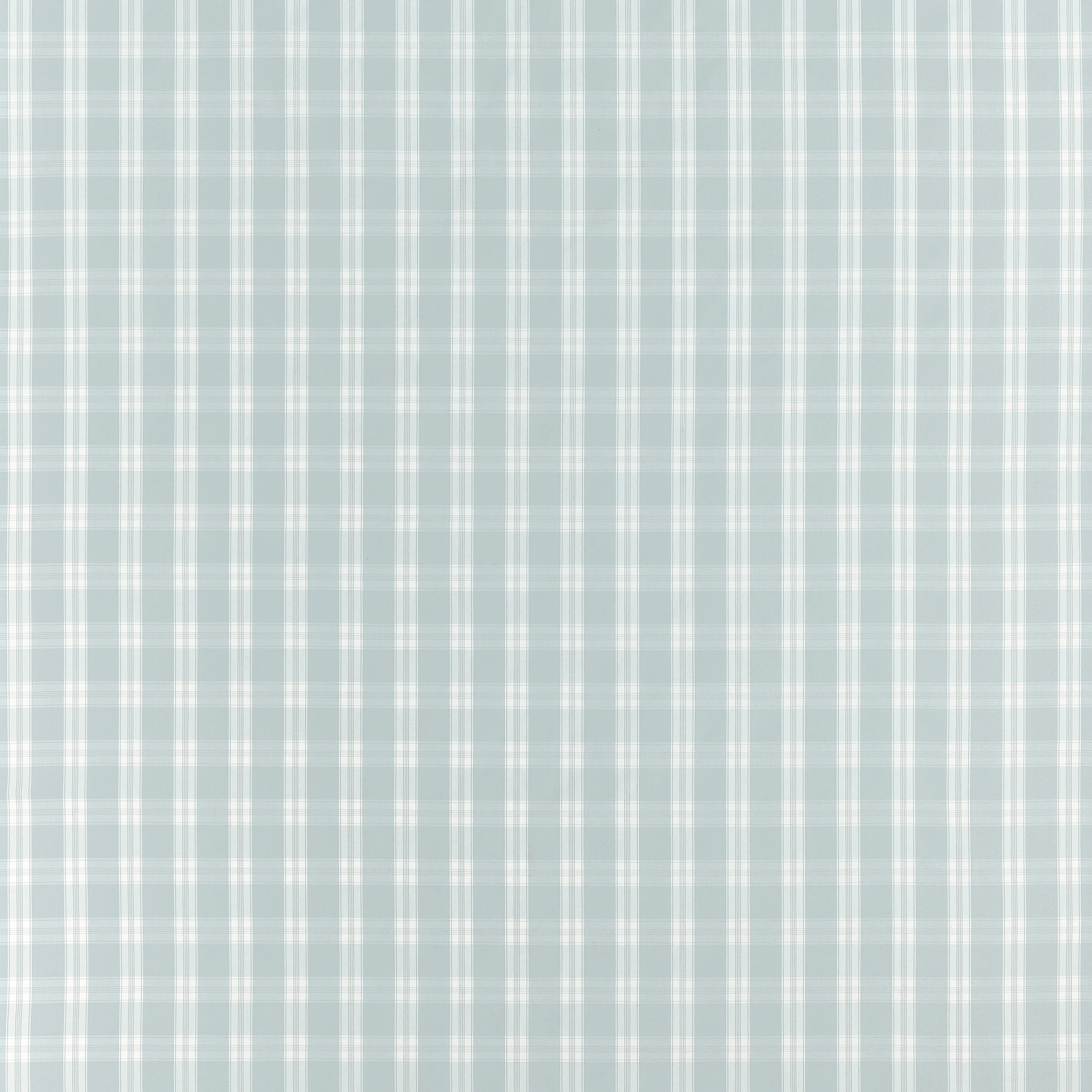 AW10711 | Payton Check – Spa Blue