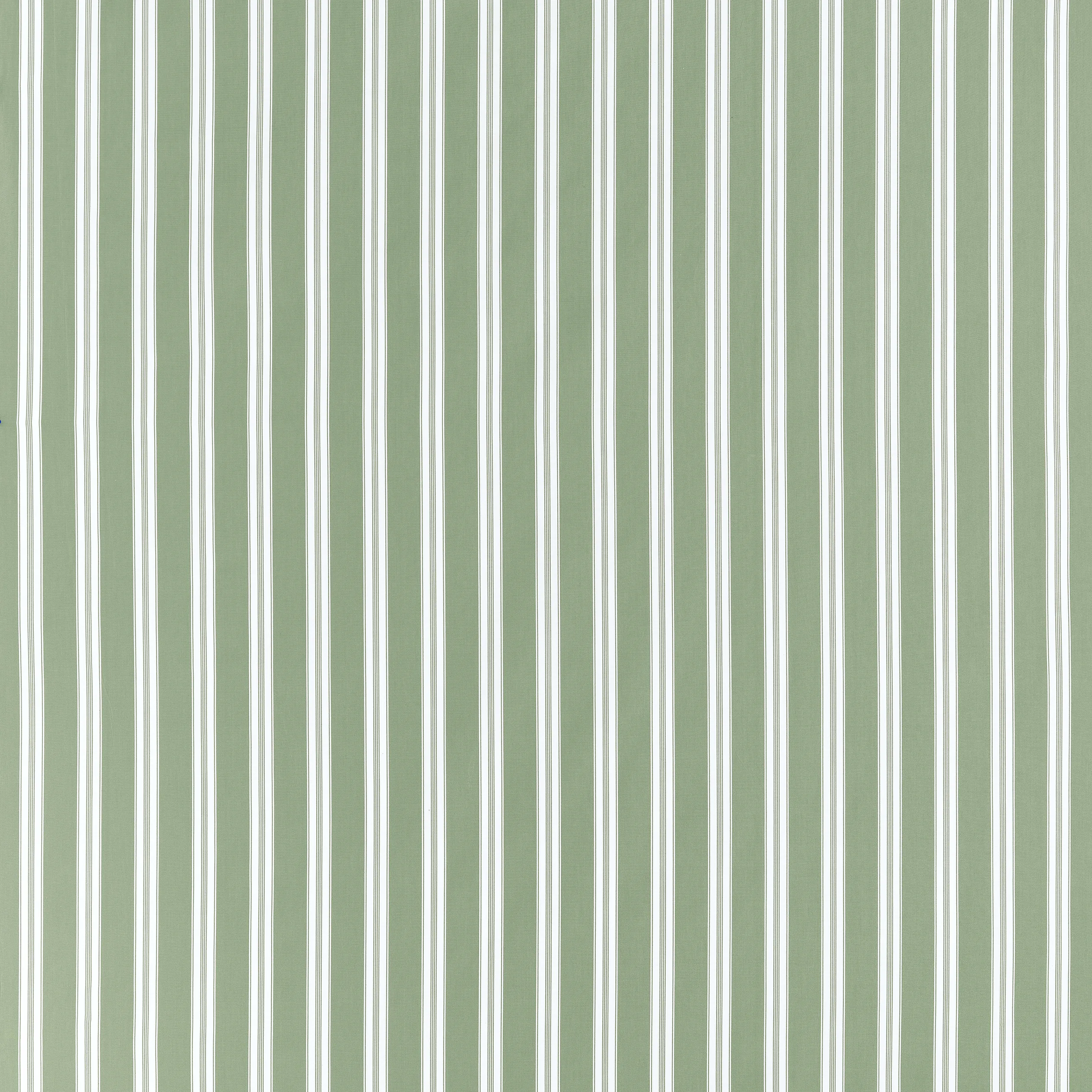 AW10703 | Payton Stripe – Green