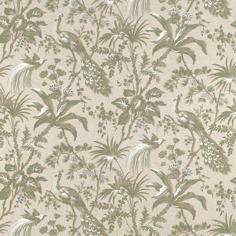 Anna French Peacock Toile in Green on Natural (AF57832)