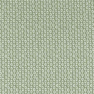 Thibaut Perry in Aloe (W711140)