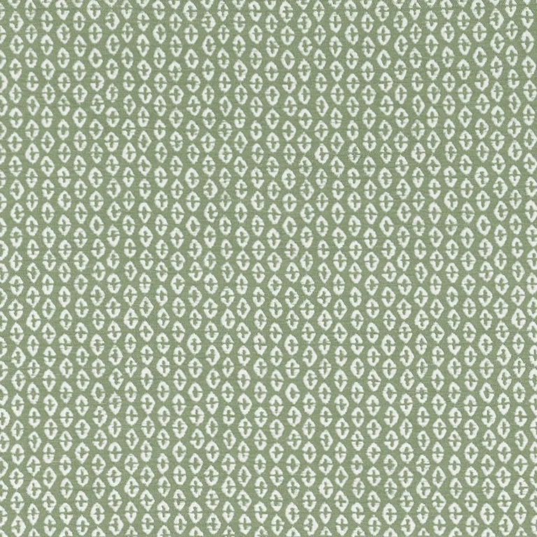 Thibaut Perry in Aloe (W711140)