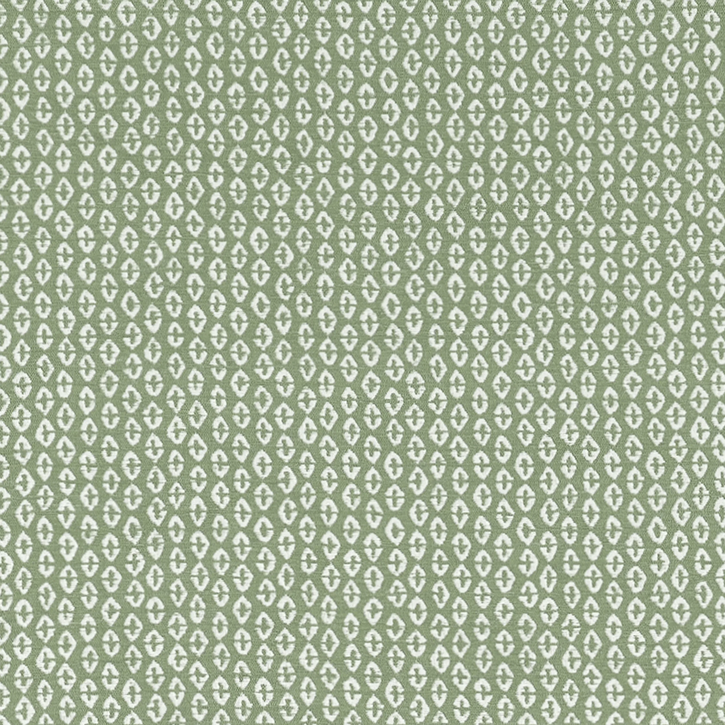 Thibaut Perry in Aloe (W711140)