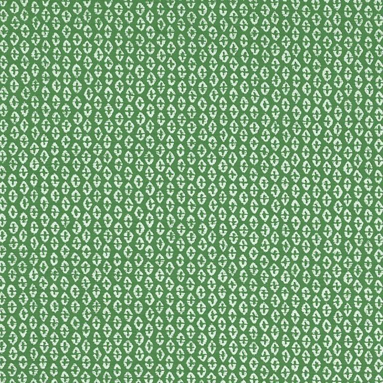 Thibaut Perry in Forest (W711143)