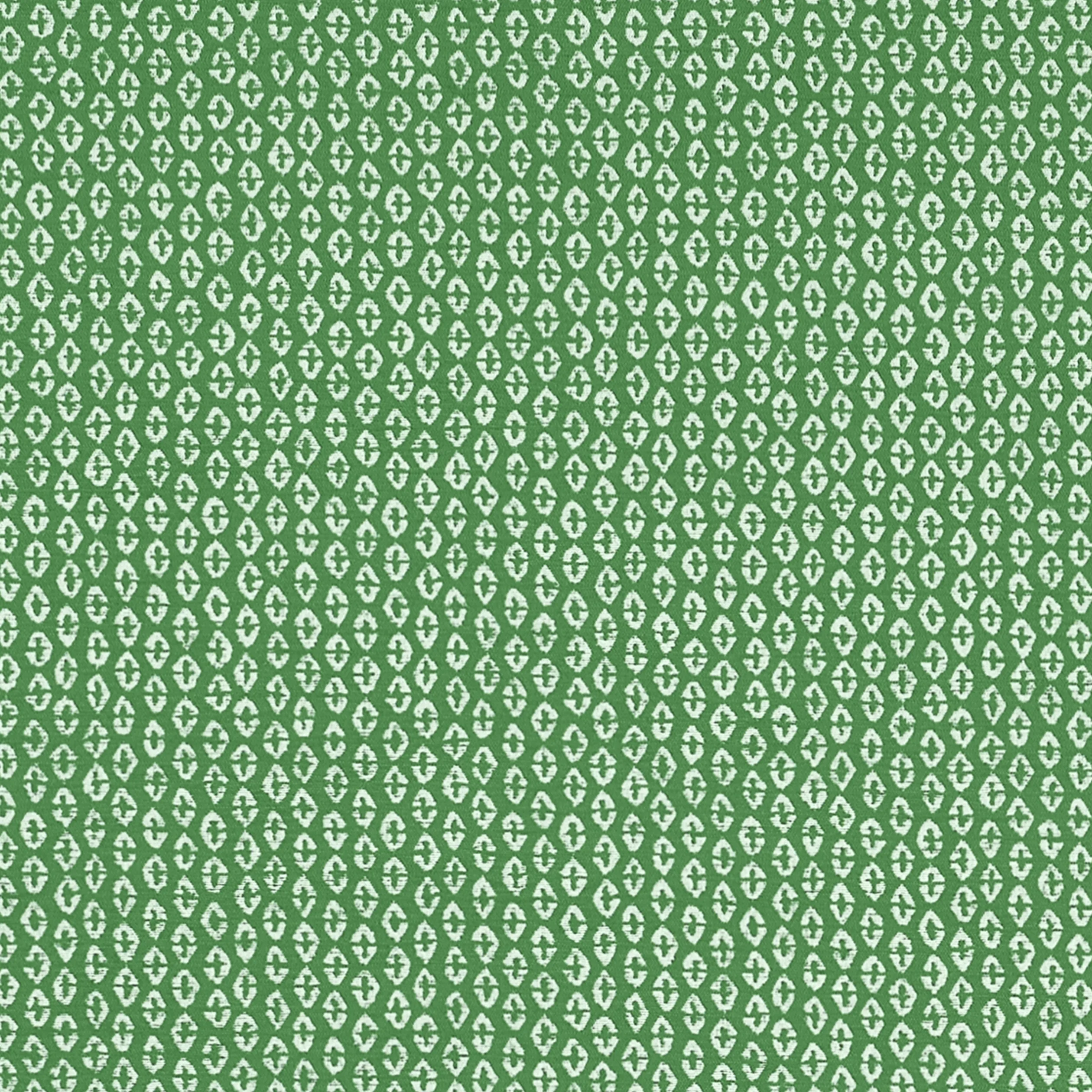 Thibaut Perry in Forest (W711143)