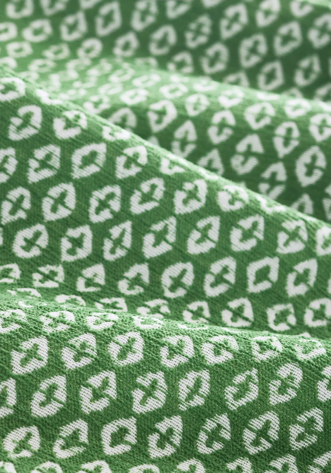 Thibaut Perry in Forest (W711143)