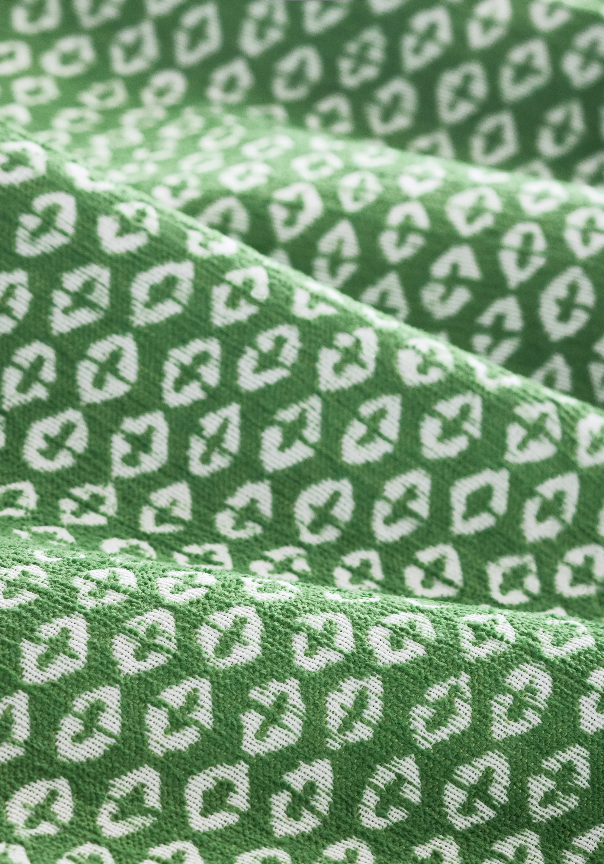 Thibaut Perry in Forest (W711143)