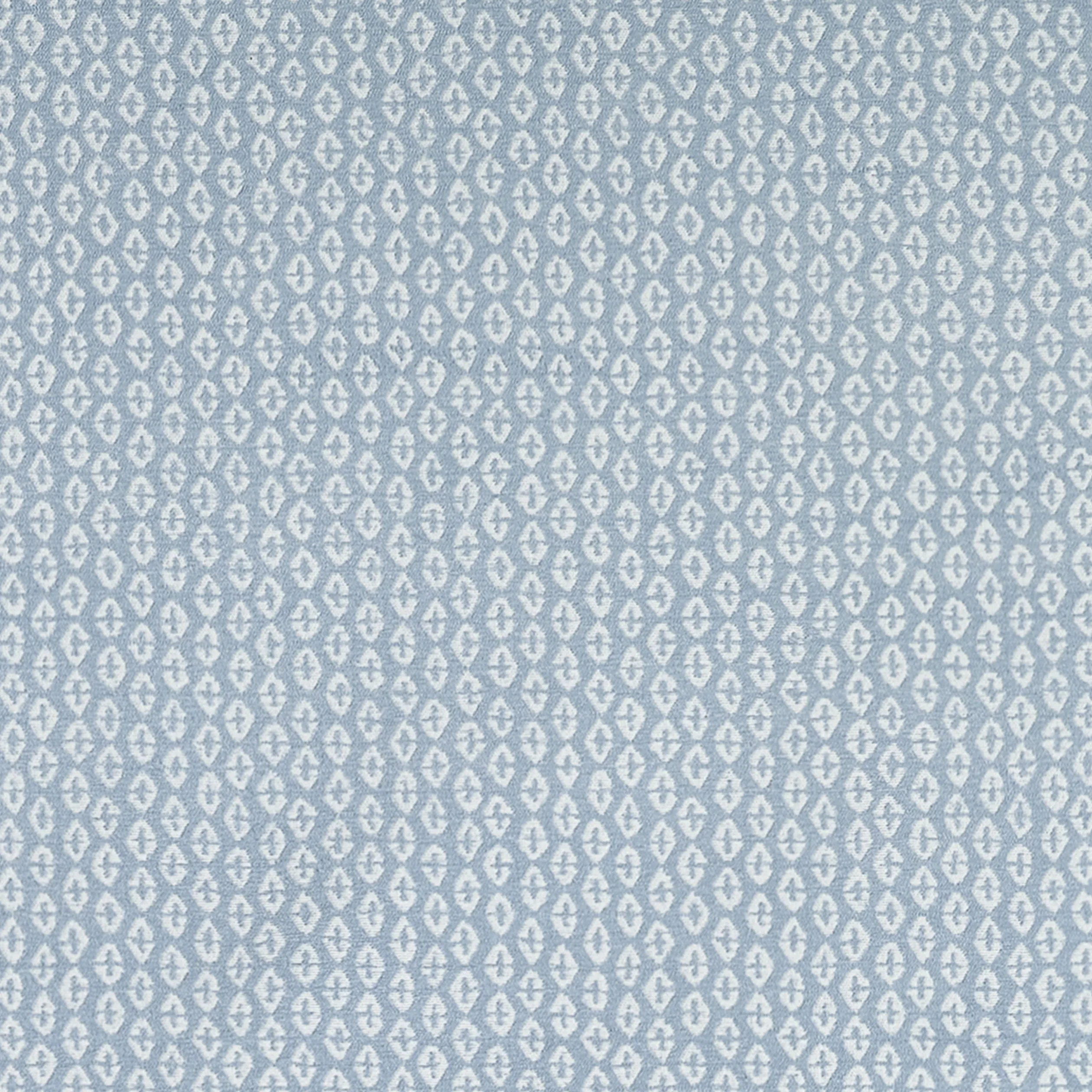 Thibaut Perry in Powder (W711141)