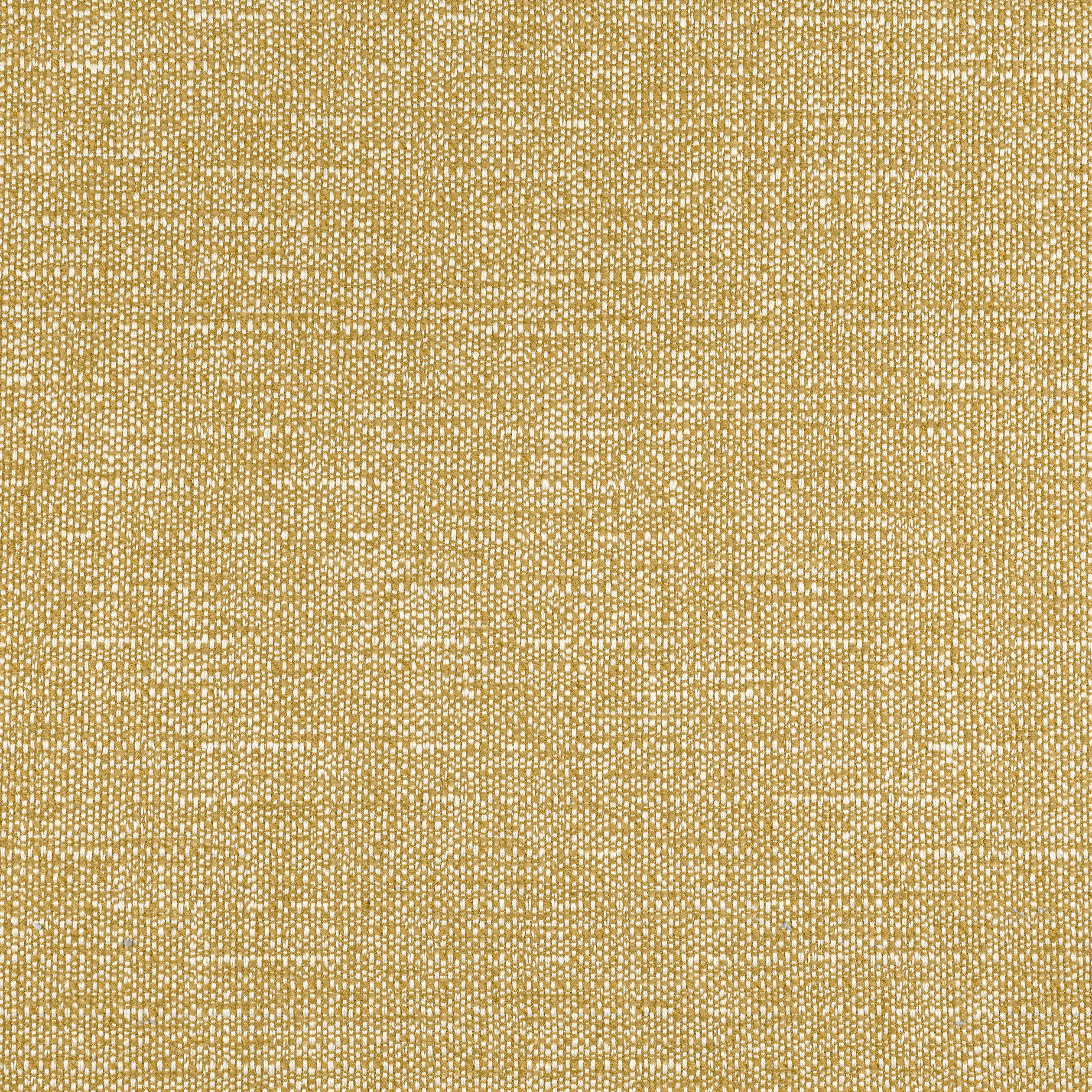 Thibaut Petra in Straw (W8738)