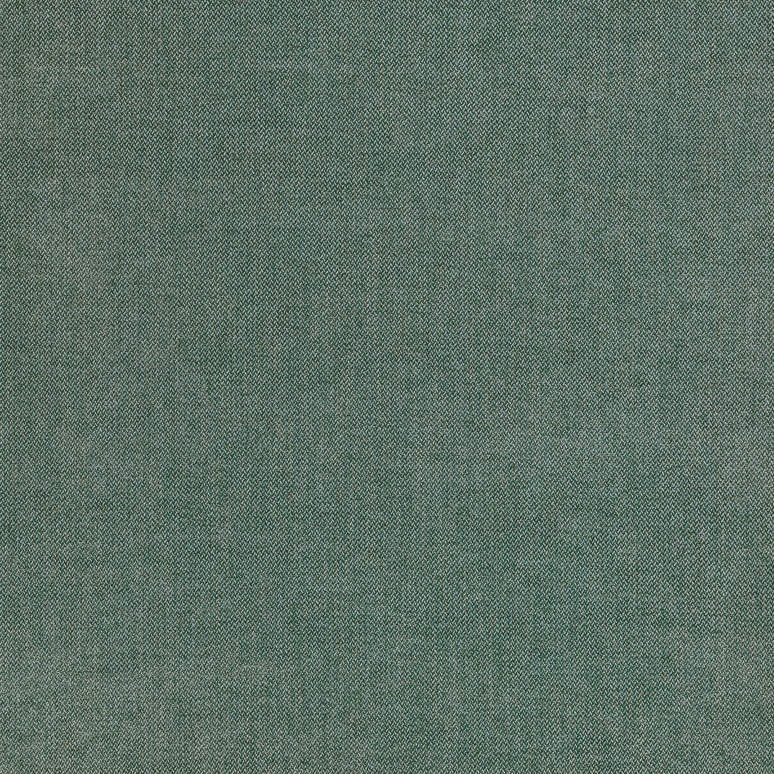 Thibaut Picco in Spruce (W711206)