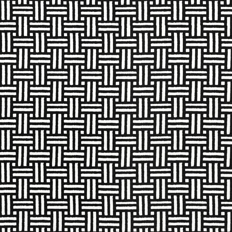Thibaut Piermont in Black (F910624)