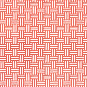 Thibaut Piermont in Coral (F910627)