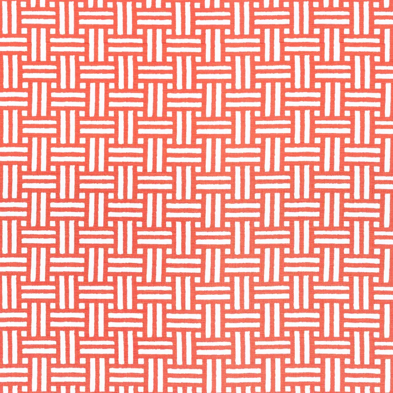 Thibaut Piermont in Coral (F910627)