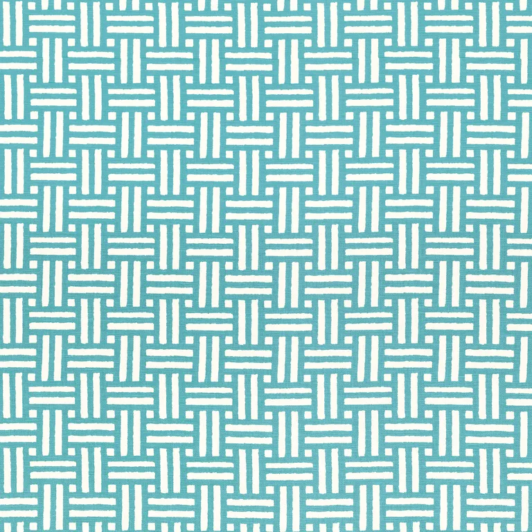 Thibaut Piermont in Turquoise (F910622)