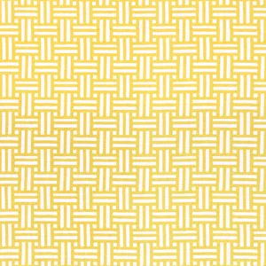 Thibaut Piermont in Yellow (F910626)