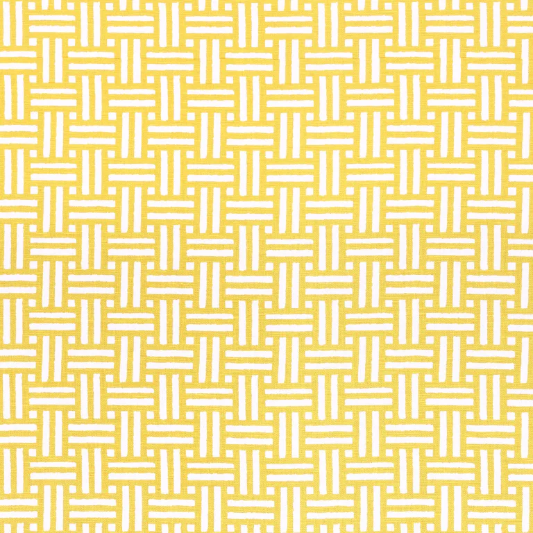 Thibaut Piermont in Yellow (F910626)