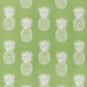 Thibaut Pina Colada in Kiwi (W81747)