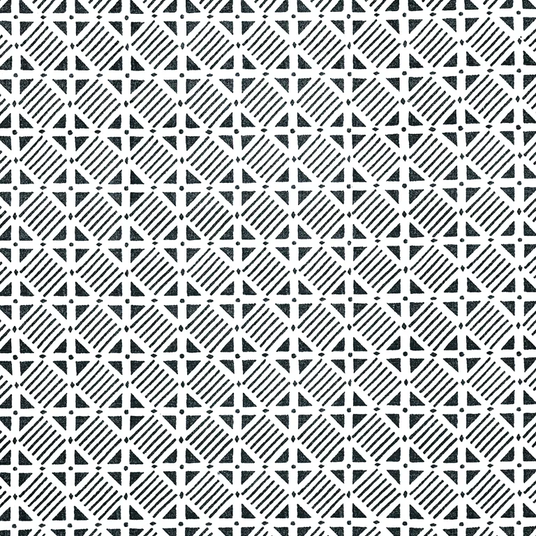 Thibaut Plaza in Black (F916220)