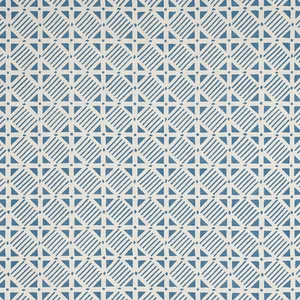 Thibaut Plaza in Blue on Natural (F916224)