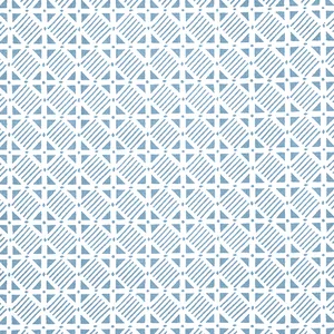 Thibaut Plaza in French Blue (F916219)