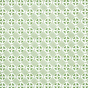 Thibaut Plaza in Green (F916218)