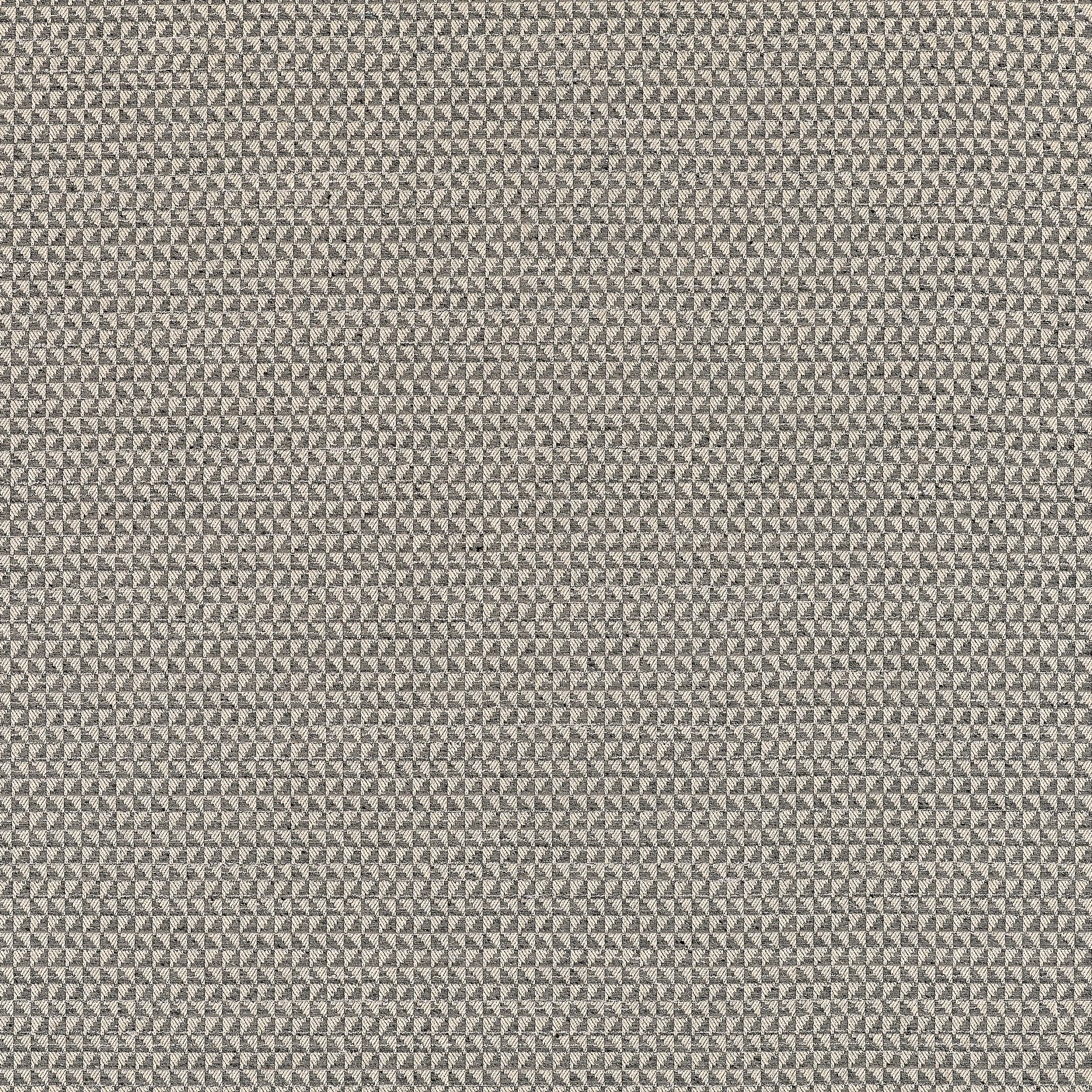 Thibaut Pollux in Charcoal (W81913)