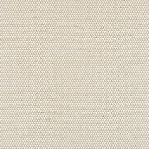 Thibaut Pollux in Flax (W81912)