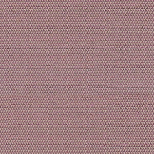 Thibaut Pollux in Mulberry (W81908)