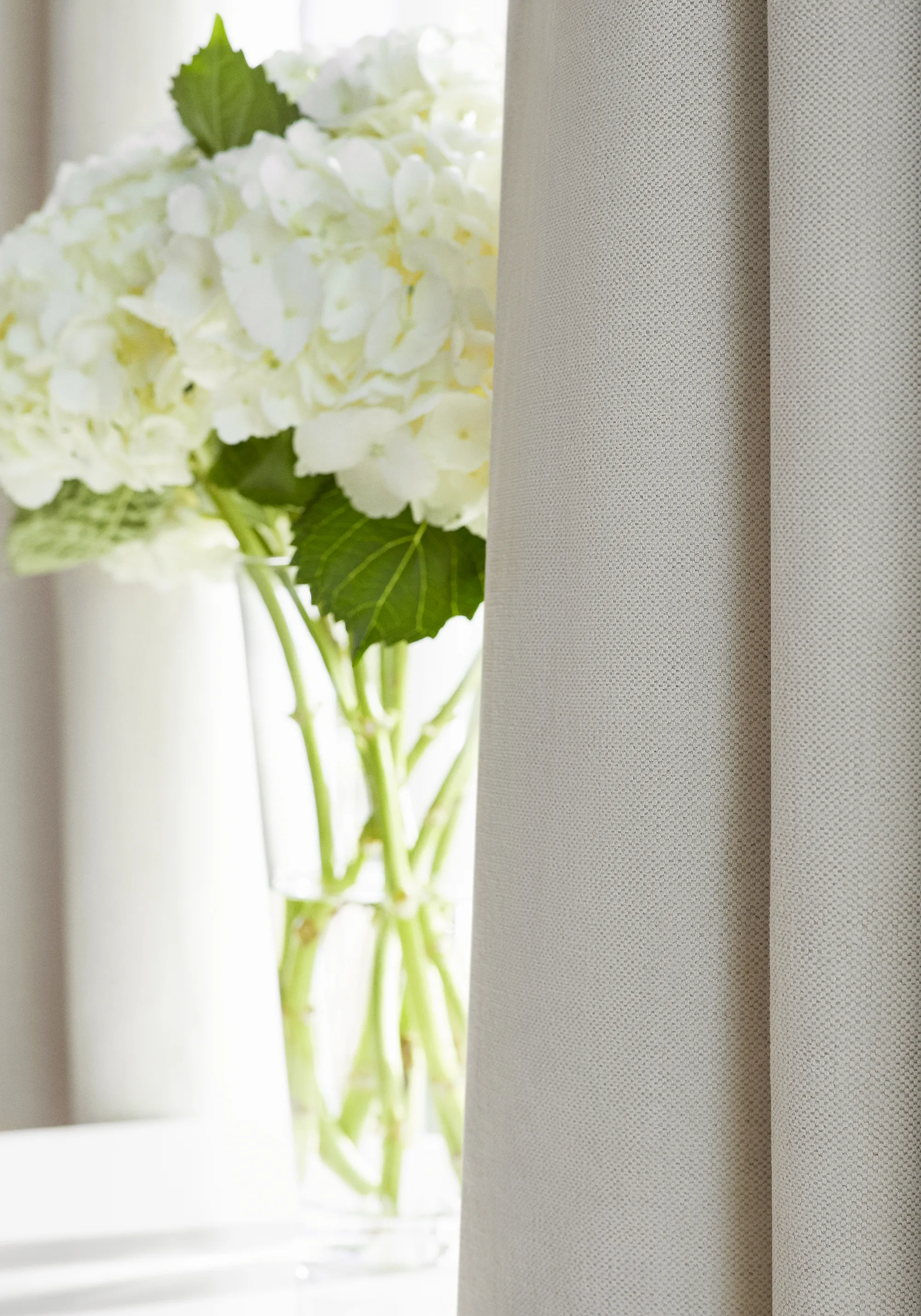 Thibaut Prisma in Almond (W70104)
