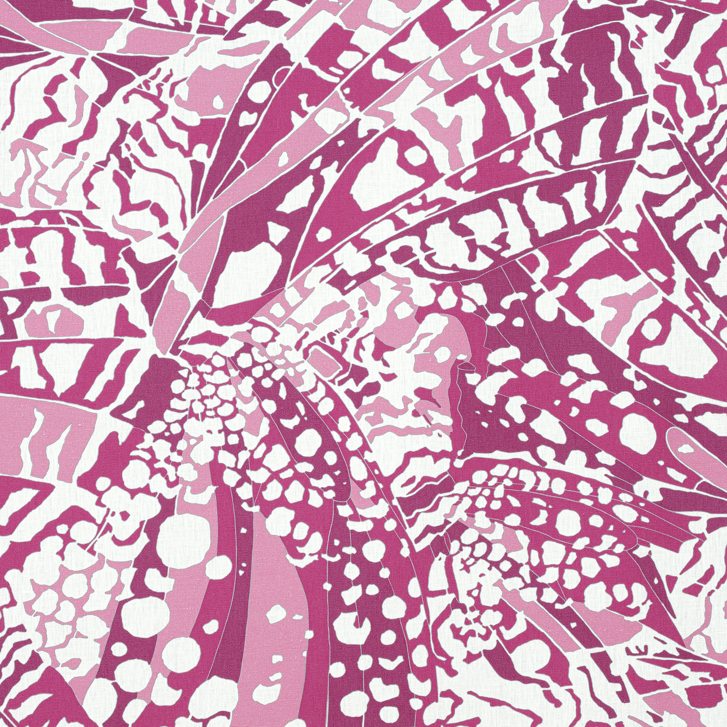 Anna French Puccini in Fuchsia (AF9861)