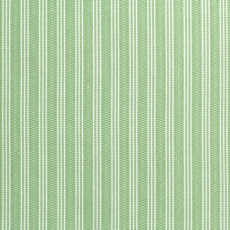 Anna French Reed Stripe in Green (AW9848)