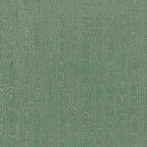 Anna French Regia in Juniper (AW9213)