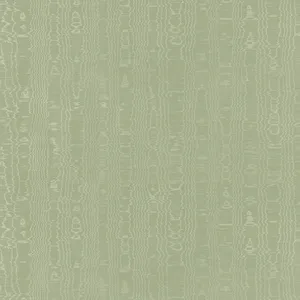 Anna French Regia in Willow (AW9214)