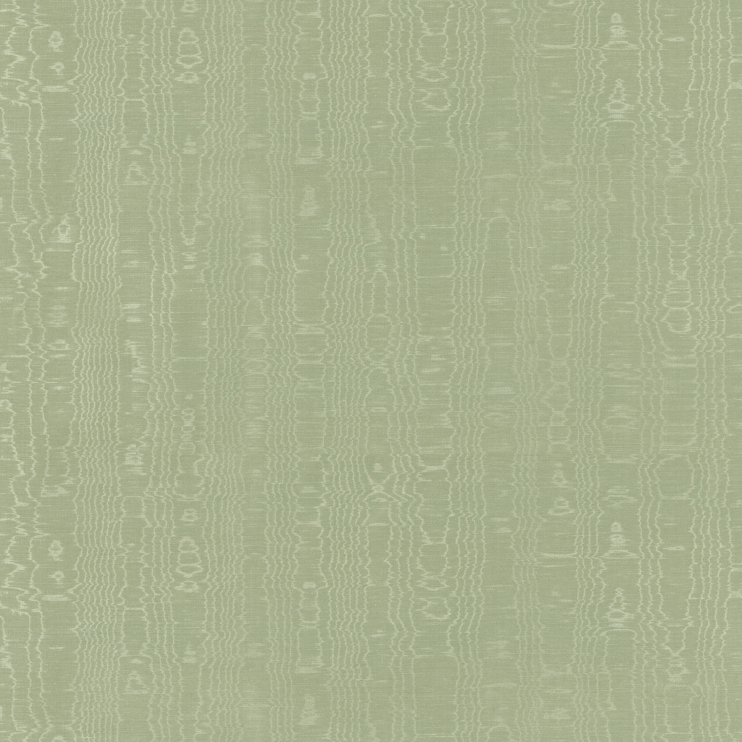 AW9214 | Regia – Willow