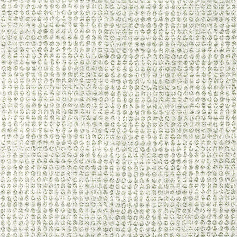 Thibaut Remy Dot in Aloe (W8703)