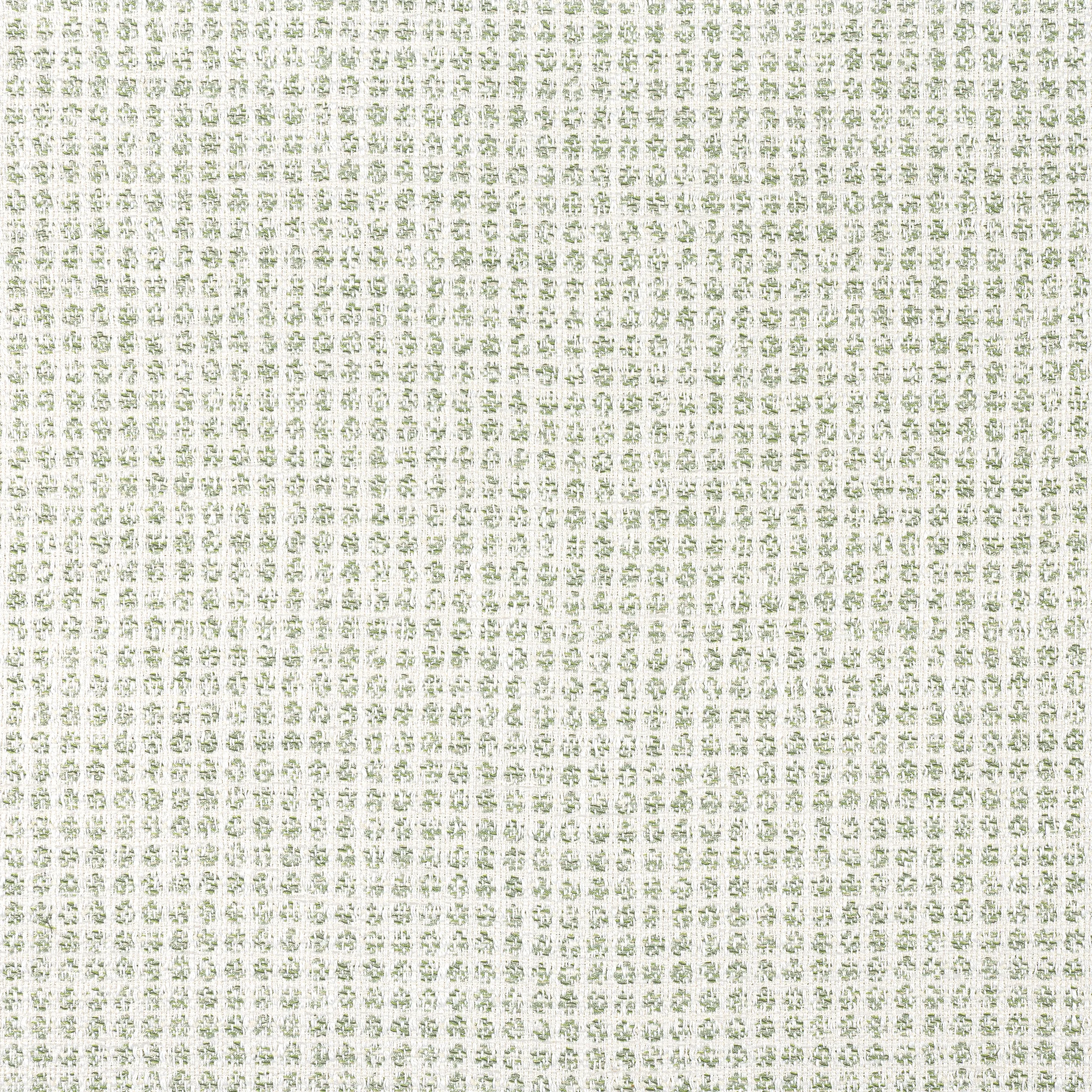Thibaut Remy Dot in Aloe (W8703)