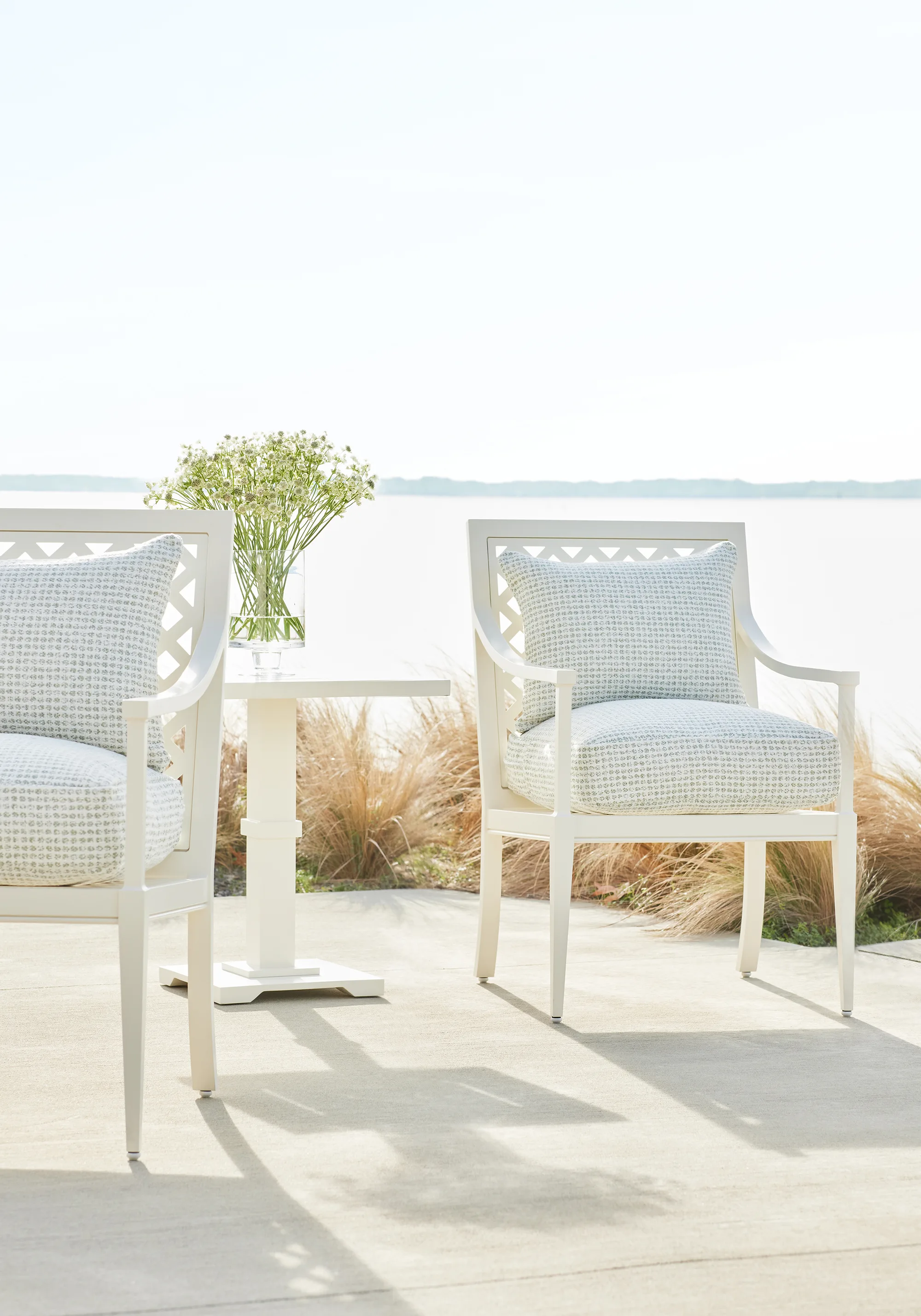 Thibaut Remy Dot in Aloe (W8703)