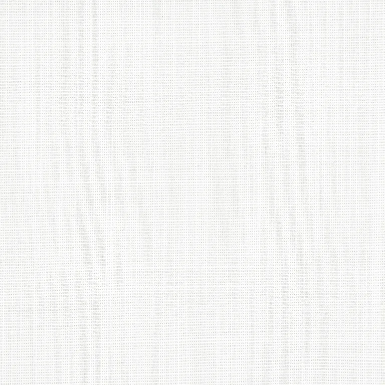 Thibaut Rimini in Platinum (W8553)